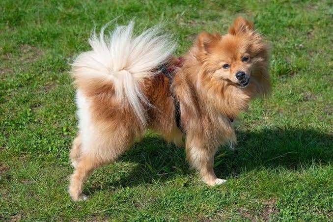 My hair when the second hairstylist was done
