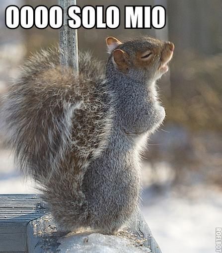 What’s your personal theme song, if it were written by squirrels?