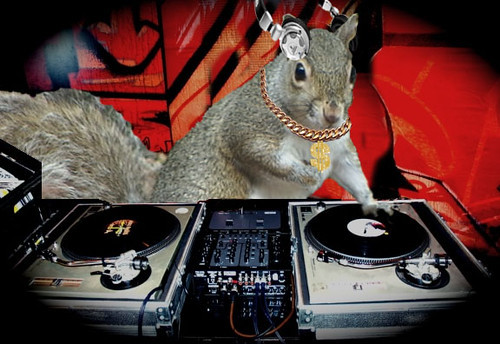 What’s your personal theme song, if it were written by squirrels?