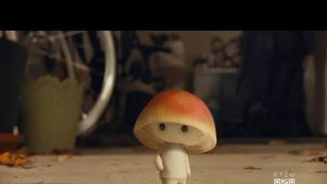 Do mushrooms make you see mushrooms?