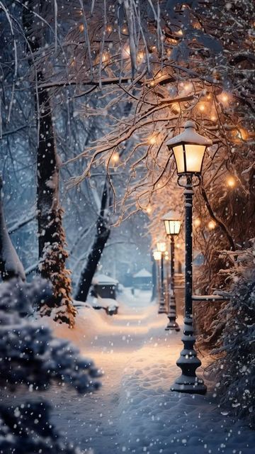 Are you ready for winter and snow again?