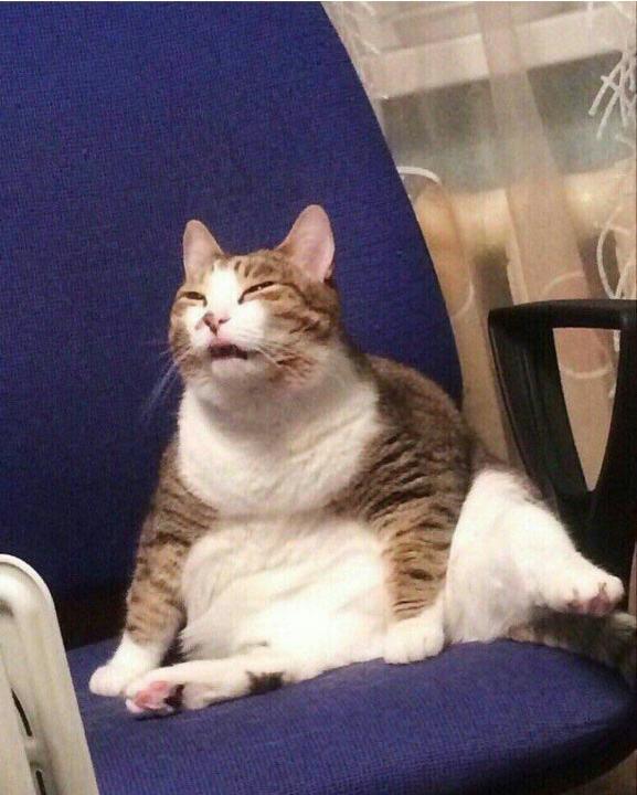 Whats the point of dating if there's always going to be someone better/more attractive?