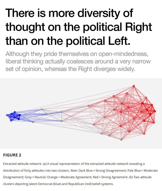 Does Maga just think the left operates like them?