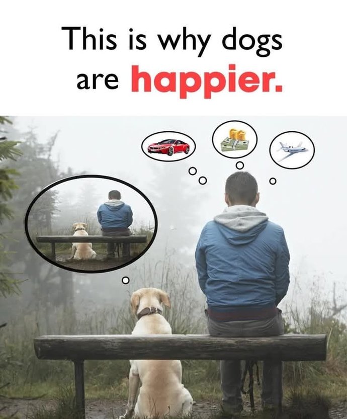 Being happy doesn't mean you have it all. It means being happy with what you have. True or false?