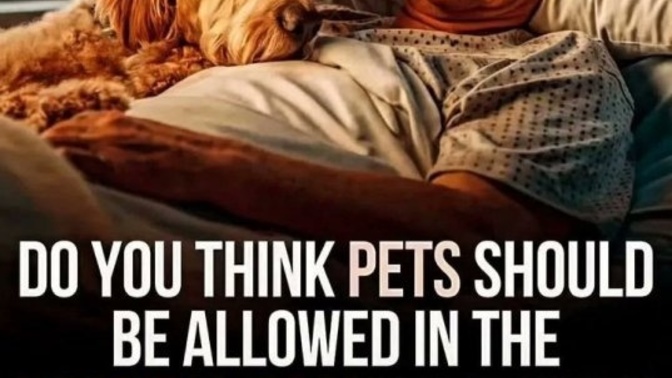 Do you agree or disagree with this?