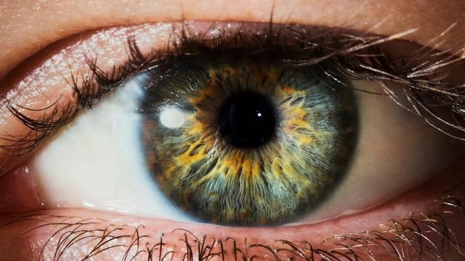 How much do you think you can tell about a person from their eyes?