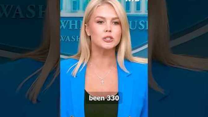 Do you know that 330 illegal aliens have been arrested in the L A riots?