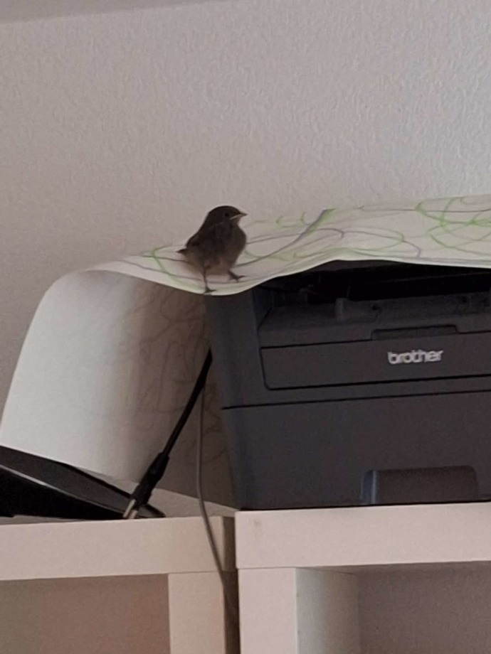 What do you think of the visitor I got this morning?