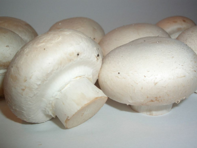Your preferred mushroom?
