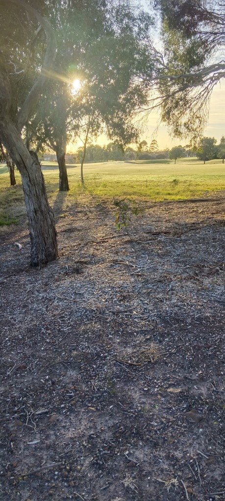 Ive been away quite a while , but dont you think a beautiful Sandhurst morning is lovely?
