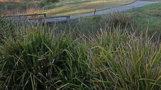 I've been away quite a while , but don't you think a beautiful Sandhurst morning is lovely?