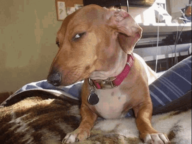 What's good gag? Having a good day? If so what makes it a good day?