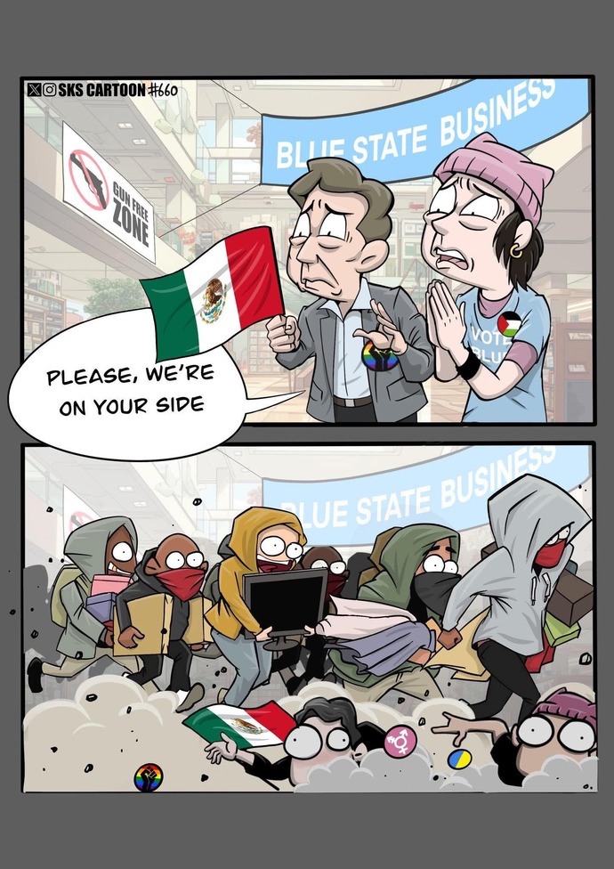 IS ICE The American SS?