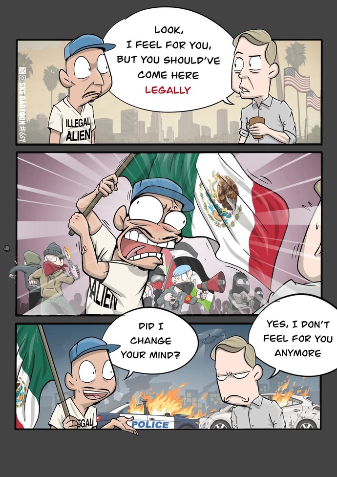 IS ICE The American SS?