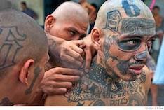 Why do you suppose that some countries refuse to take back their own citizens in regards to deportation?