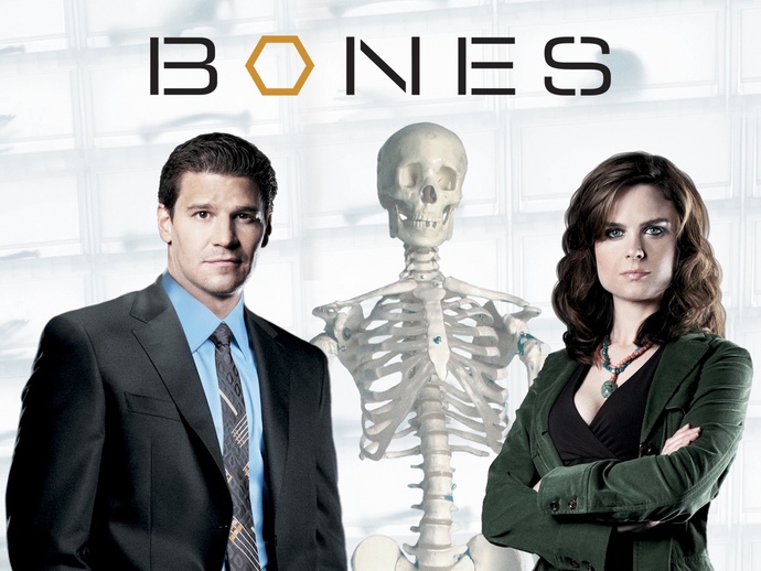 Do you have two or more favorite shows that you think could have had great crossover episodes?