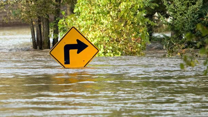 Too Much Rain, Yuck!