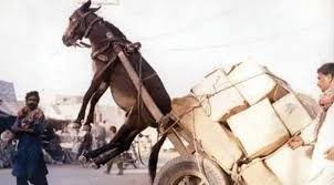 The big beautiful bill suggests that more people should help pull the Medicaid cart, than ride in it. Agree?