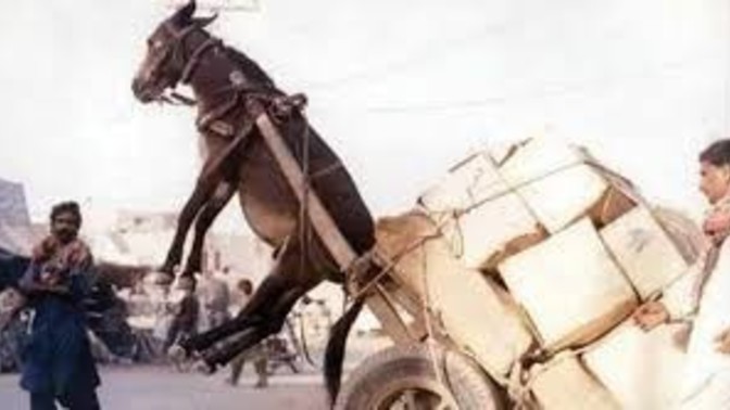 The big beautiful bill suggests that more people should help pull the Medicaid cart, than ride in it. Agree?