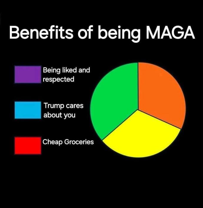 Since 71% of Trump voters oppose cuts to Medicaid, why would any of them support his "Big, Beautiful Bill"?