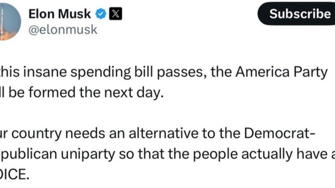 Dp you support this joker musk new political party?
