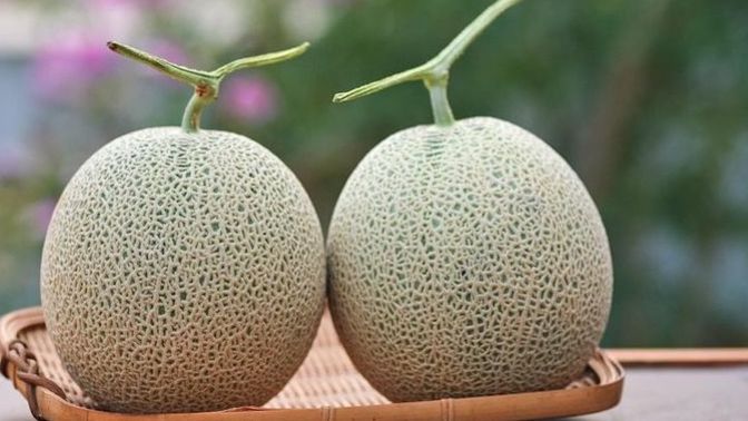 Do you think these obviously fake things look good?