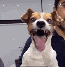 Do me a favor. Share a funny gif?