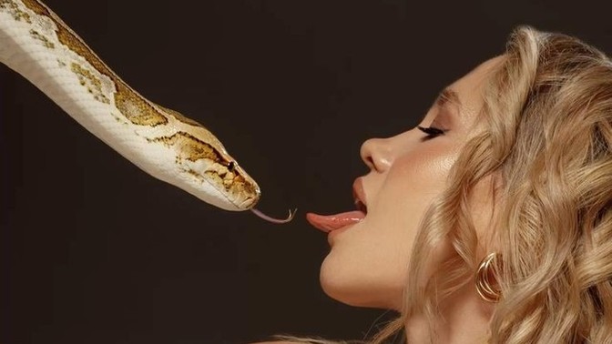 If I were your favorite animal for 24 hours, what animal would I be?