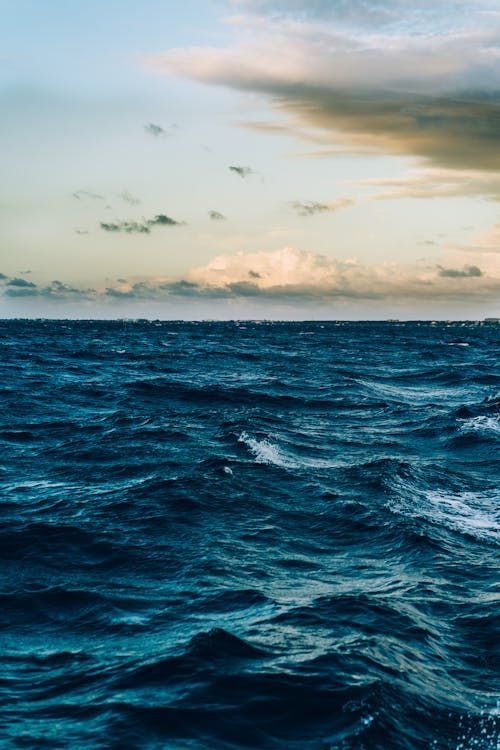 Ocean