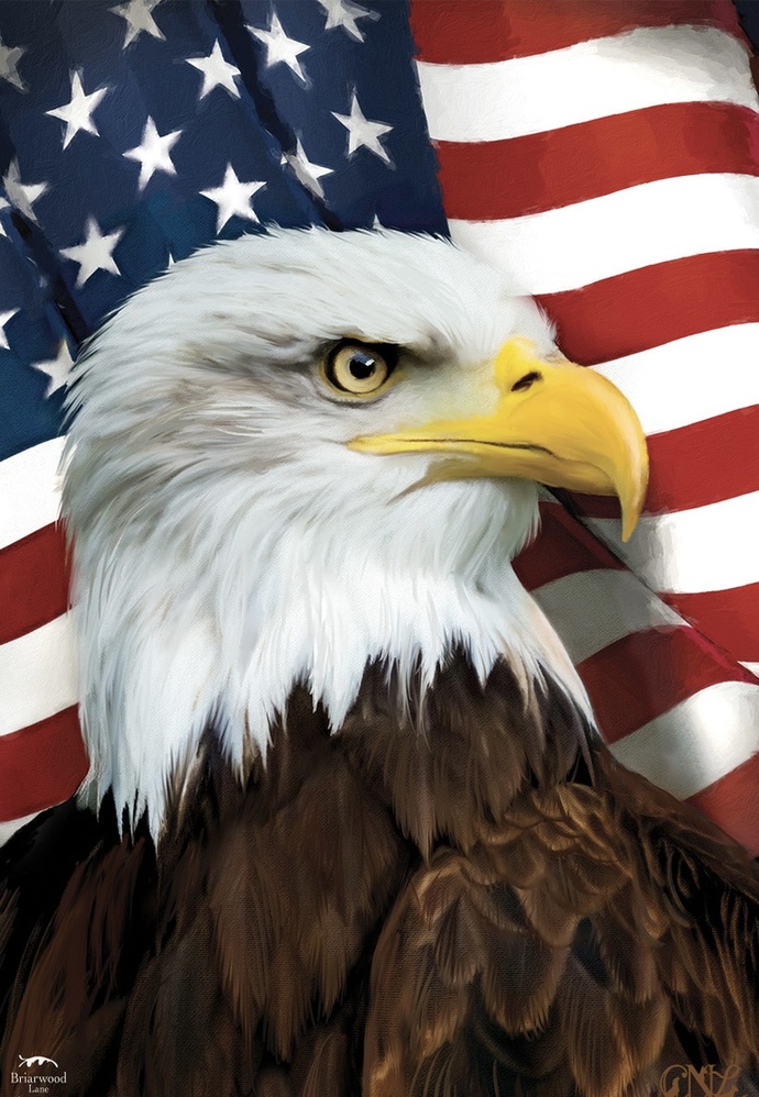 Are you proud to be an American?