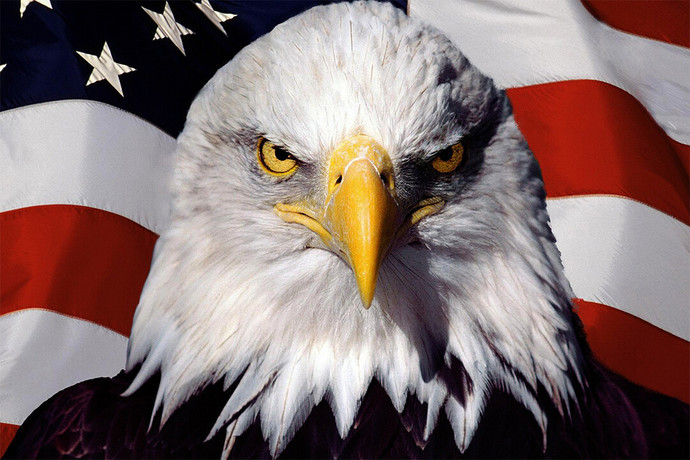 Are you proud to be an American?
