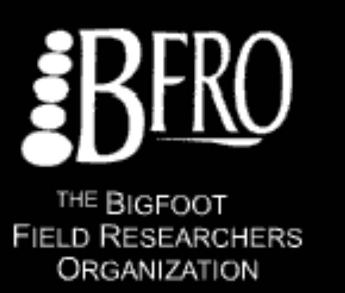 I have evidence bigfoot is real, where can I share the video?