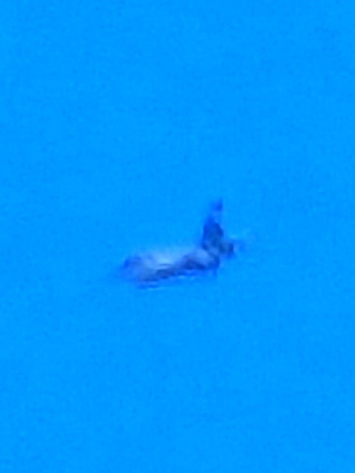 Can anyone identify these planes?