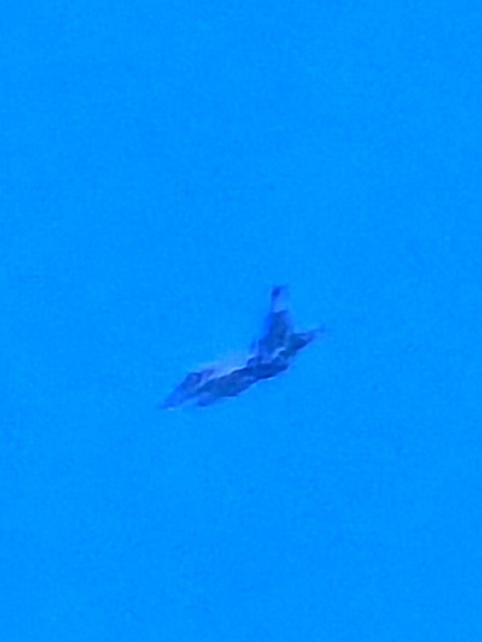 Can anyone identify these planes?