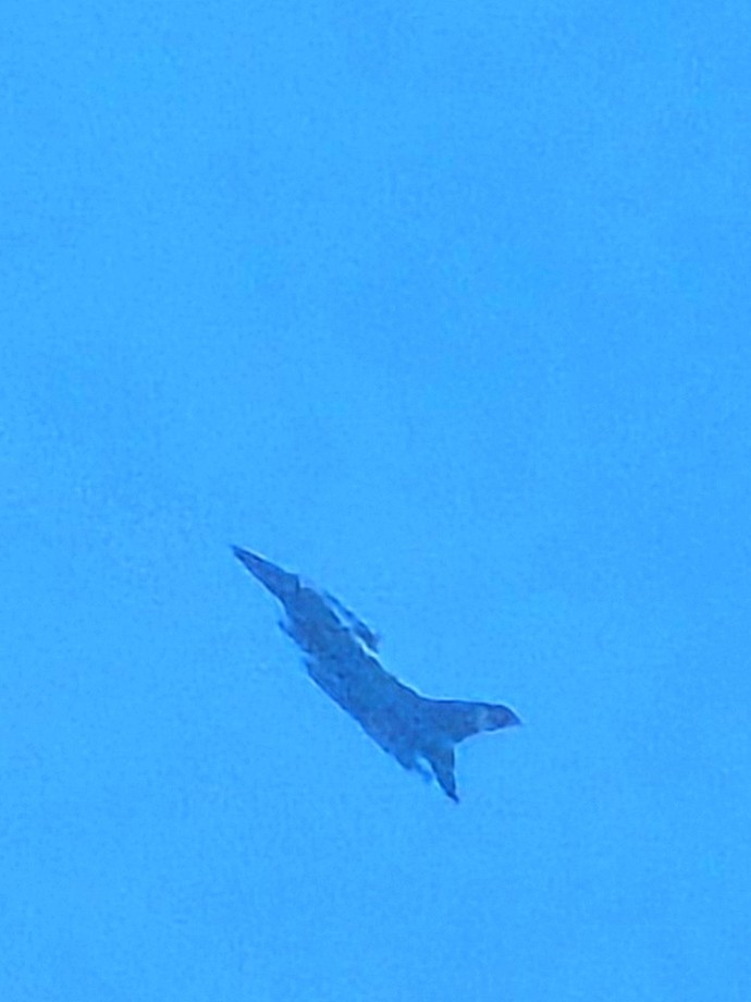 Can anyone identify these planes?