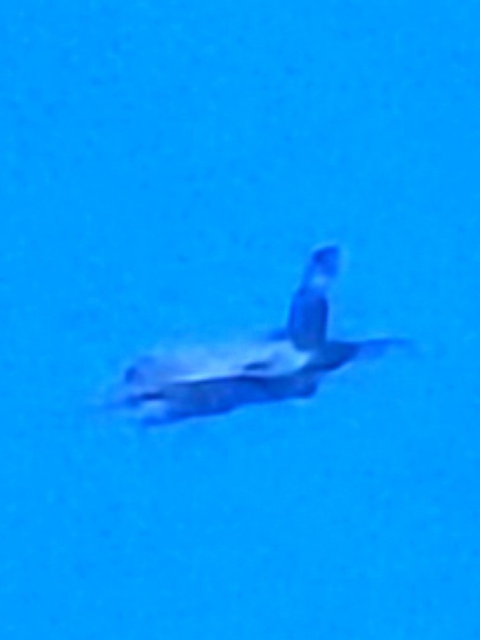 Can anyone identify these planes?