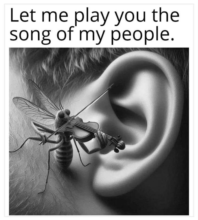 How come we never see a baby mosquito?