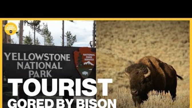 Do you feel sorry for tourons (moron tourists)?