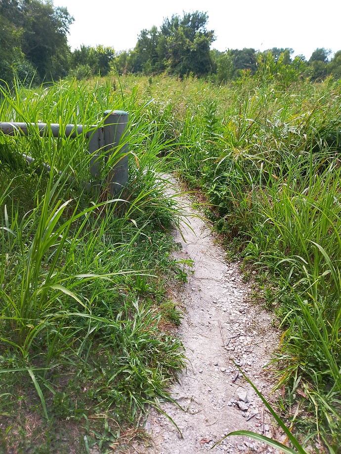 Is it illegal to enter it?
