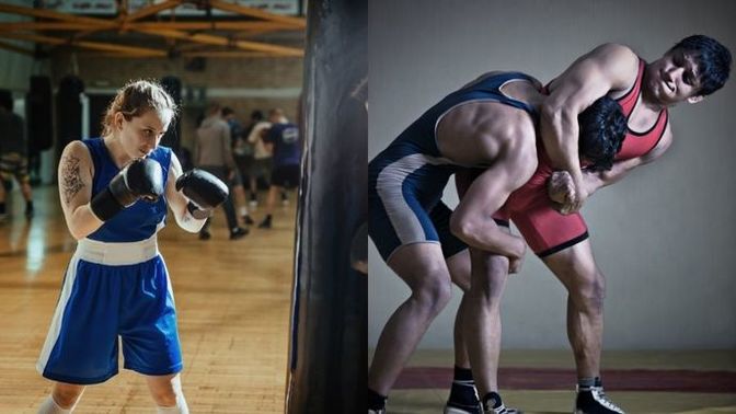How huge would it be to win Olympic gold medals in boxing/wrestling?