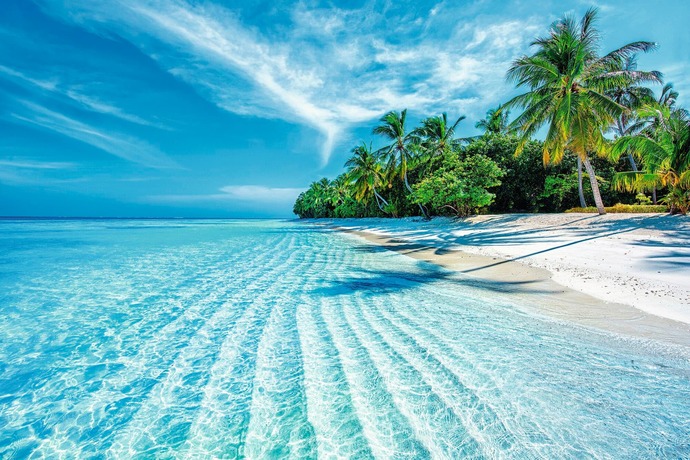 Which country was your best holiday?