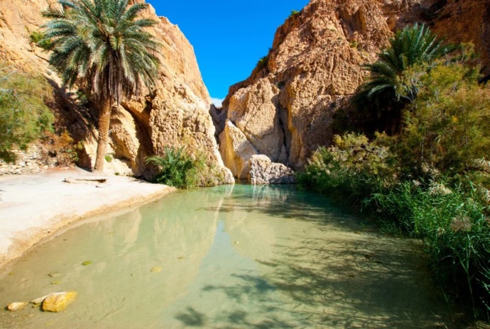 If you could only visit one, would you visit north or south Tunisia?