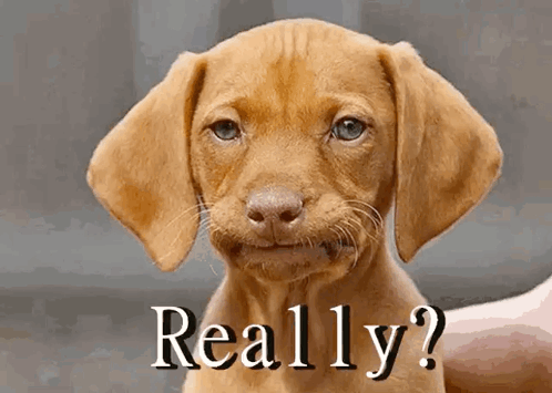 How would you react if someone suddenly told you they loved you out of nowhere?