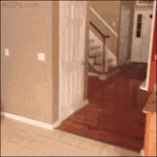 Are you a loud walker?
