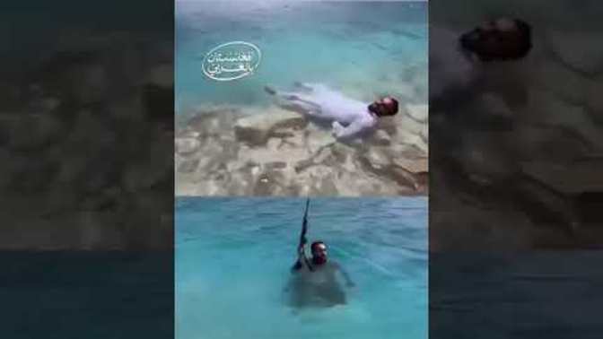 What do you think of the Taliban's new tourism ad targetting Americans?