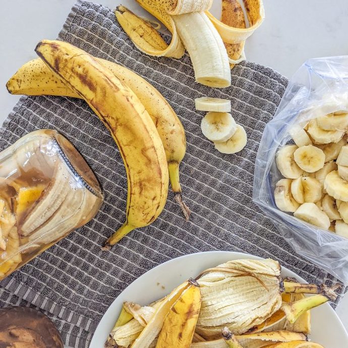 Bananas or mangos. Which fruit do you like better ?
