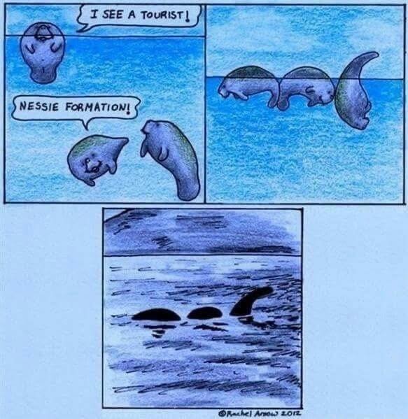 Have you ever seen a monster?