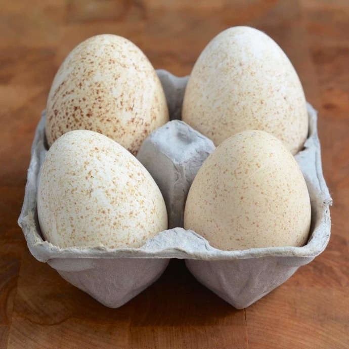 Besides chicken eggs, what other sorts of eggs have you tried?