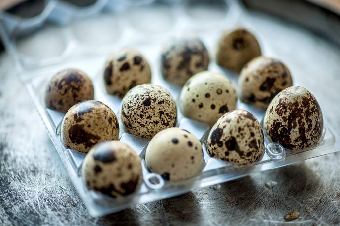 Besides chicken eggs, what other sorts of eggs have you tried?