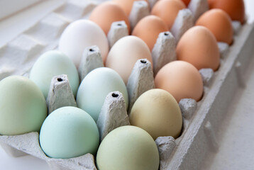Besides chicken eggs, what other sorts of eggs have you tried?